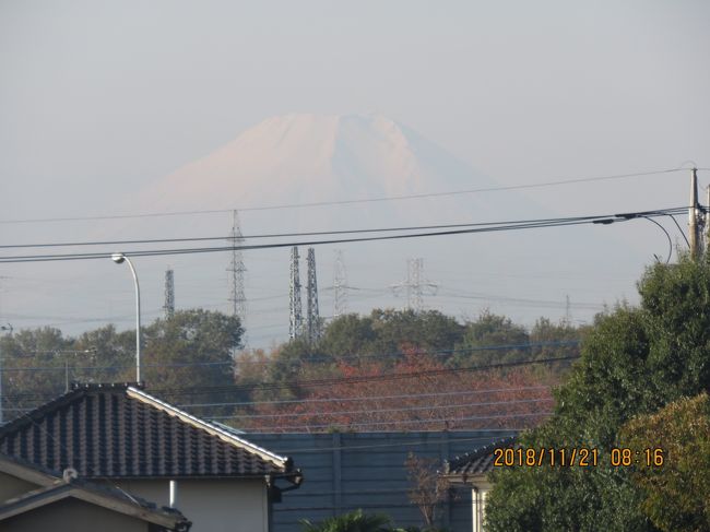 11月21日、午前8時16分にふじみ野市より富士山が見られました。　やや霞んだ富士山でした。<br /><br /><br /><br />*写真はふじみ野市より見られた富士山