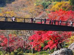 駅近の大自然　紅葉の御岳渓谷