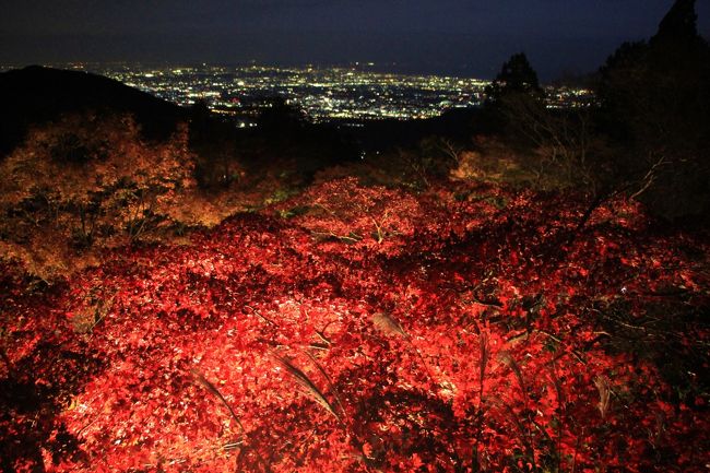 ケーブルカー始発からライトアップまで紅葉の大山寺、阿夫利神社下社と大山登山2018年11月