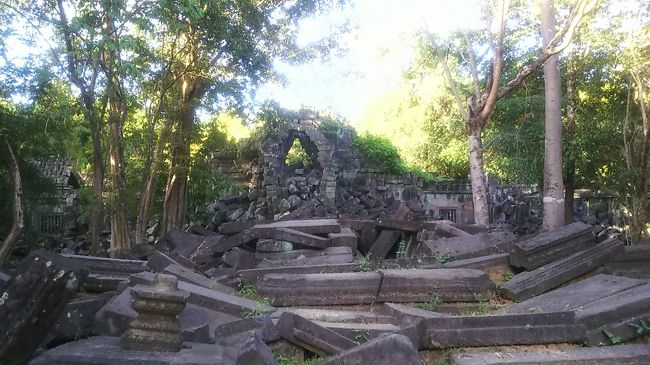 2018年11月9日~12日までのシェムリアップ旅行の記録です。<br /><br />8日の深夜便で羽田から出発し、帰国は11日の18時ごろ現地を出て翌日早朝に帰国したので<br />正味2泊3日の旅でした。<br /><br /><br />2日目の主な行動:ホテルで朝食 → アンコール・トム、タ・プロム → ベンメリア → ホテルのフレンチで夕食<br /> <br /><br /><br />往路:全日空 NH877 11/9 00:50 羽田発 05:55 バンコク着<br /> バンコクエアウェイズ PG903 08:00 バンコク発 09:00 シェムリアップ着<br /><br />復路:ベトナム航空(ANAコードシェア)NH9741 11/11 18:30 シェムリアップ発 19:45 ホーチミン着<br /> 全日空 NH832 11/11 23:05 ホーチミン発 11/12 06:45 成田着<br /><br /><br />ホテル:Victoria Angkor Resort & Spa <br /> ヴィクトリアアンコールリゾート&スパ<br /> デラックスルームプールビュー 2泊