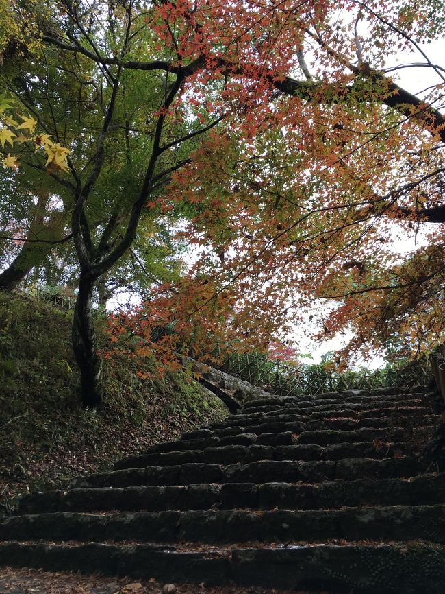 母が熊本に遊びに来ていたので、平日、モン吉が学校の間に母娘で人吉まで行ってきました。