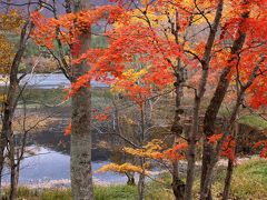 ◆会津下郷：紅葉三昧 (観音沼) 編