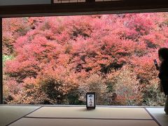 出石の新蕎麦と安国寺の紅葉　の巻