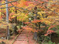 京都府の山寺　ひっそりと静かに燃える紅葉と見事な落ち葉を見に　行ってきました！　（神蔵寺・龍澤寺・龍穏寺・西光寺）