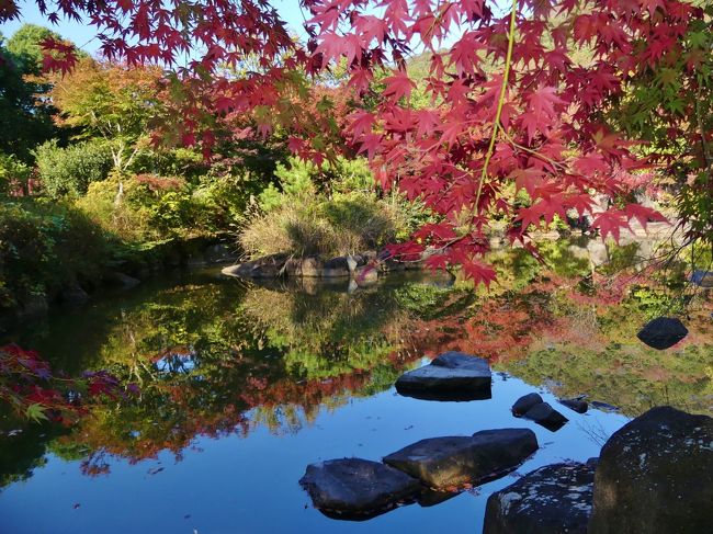 東北自動車道・佐野藤岡ICの東側、栃木市岩舟町の「みかも山公園」の南口近くにある「三毳庭園」の紅葉を見に行きました。「三毳庭園」は、南口駐車場のすぐ東側にあります。名前は「庭園」ですが、小さな池とその周囲の半分を巡る歩道があるだけの、狭い場所です。「みかも山公園」での山歩きや、あるいは南に隣接する「道の駅みかも」に立ち寄った時に、ちょっと寄って見ると良いのではないでしょうか。<br /><br />で、紅葉ですが、訪れた日(11月14日)には、一部が色づき始めているだけで、紅葉の時期には早過ぎました。