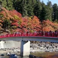 ☆念願の香嵐渓　寸又峡　紅葉☆　香嵐渓　パート１