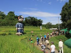 明日香村　稲渕の棚田での彼岸花と案山子コンテスト