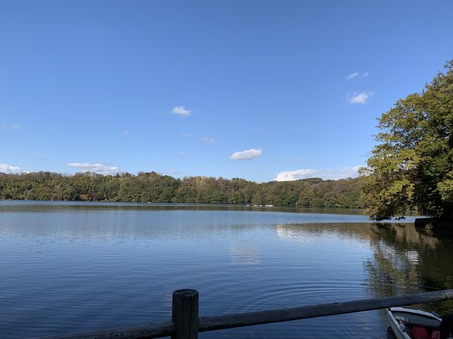 今回は、一碧湖に行ってきました。と言っても、<br />温泉にのんびりと浸かりに行ってきましたと言った方がいいのかもしれませんが、泊まった所の方が、とても良い方で、料理も美味しく、お風呂の温度は、最初熱いかなと思いましたが、体が芯まで温まって、気持ちよかったです。次の日に、一碧湖まで歩いて、散策に行きました。川奈駅までは、送って頂き、伊東下車して、お昼を食べてから帰りました<br />私にとっては、贅沢な2日間を天気にも恵まれ楽しく過ごせました。