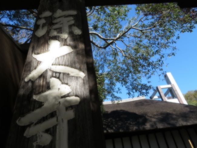 11月23,24,25の3連休<br />早めの大掃除を思ったけど、<br />友達が「深大寺楽しかった。」と言われ<br />23日は天気が良かったので行ってみました。