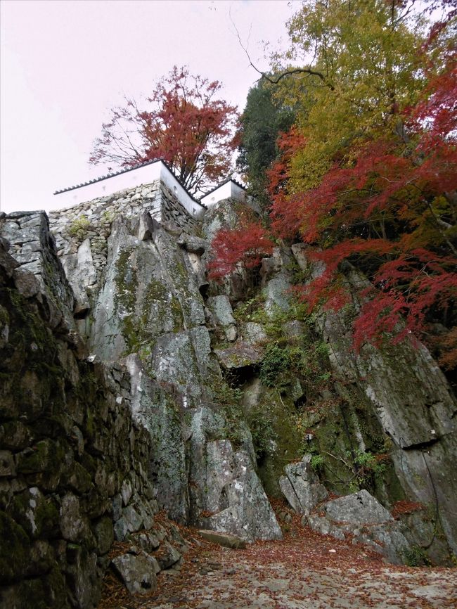 ２日目の１２日は、poemyさんとコーヒータイムを楽しんだ後、島根県安来市の和鋼博物館に向かった。<br />鉄滓（てっさい）やケラなどを改めて見学。<br />松江城内「興雲閣（こううんかく）」にある「亀田山喫茶室」でランチ。<br />知人のＭ氏宅で、来年の城山稲荷神社「ホーランエンヤ」祭について予定を伺い、夜は予定通り米子市内の「スマイルホテル」に泊まった。<br />翌日は早めに米子を発ち、再び岡山に戻って備中松山城に登り、紅葉を満喫する旅となった。<br /><br />今回の旅は、IACEトラベルの「ANA往復岡山空港利用+米子スマイルホテル２泊」で、ツアー代金が、なんと一人22500円という超お得感のあるものだった。<br />岡山空港や米子のホテル利用によって、復興割り引きという特典もあった。<br />ただしレンタカー代は含まれないので、三日間のレンタル料金は17712円（含免責保証制度・レンタカー安心パック）、さらに1泊目は、「津山セントラルホテルタウンハウス」に別途予約したため、米子のホテル料金は払ったまま宿泊せず、津山に１泊9000円ほどで泊まった。<br />合計49212円。レンタカー代と1泊目の宿泊料金を単純に割り算すると、一人約44712円という代金になる。<br />米子のホテルに泊まることが条件なので、2日目は米子に向かったが、安来や松江に行く目的もあったので、ちょうど都合はよかったのだった。<br /><br />島根も鳥取も雨だったので、今回は岡山が中心となったが、鉄子の旅としては、かなり有意義なものとなった。<br />