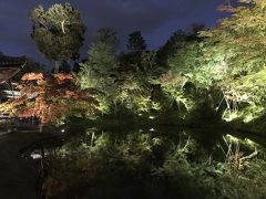 2018-10-27その2 祇園・清水寺から高台寺と圓徳院のライトアップ