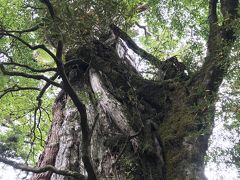 旅行記グループ 南九州の世界文化遺産 天草と自然遺産 屋久島を巡る 18年10月 全3冊 旅行のクチコミサイト フォートラベル