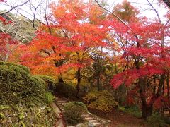 勝持寺