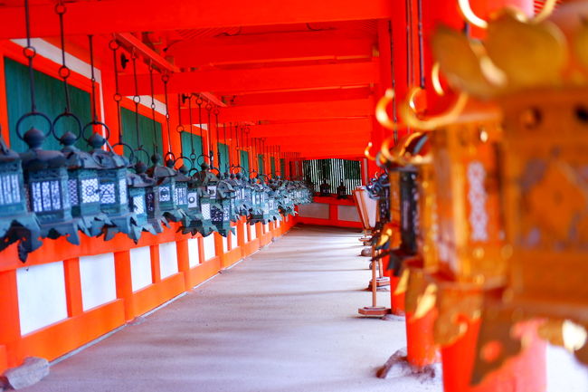 秋の京都と奈良旅行。<br />２日目午後からは中学の修学旅行以来の奈良観光！<br /><br />京都の激混みぶりに比べると、奈良はホッと落ち着きました。<br />紅葉の時期に料金を爆上げする京都のホテルに比べると、奈良のお宿は良心的な価格だし。<br />奈良に宿泊して京都も奈良も観光するプランは、もしかして賢いかも！と思いました。<br /><br />二日目後半の記録です！<br /><br />二泊三日の京都と奈良旅行。行程は以下の通り。<br />１日目  東福寺→瑠璃光院→大原三千院→嵐山 宝厳院<br />２日目  愛宕（おたぎ）念仏寺→化野念仏寺→興福寺→春日大社<br />３日目  東大寺→正倉院→永観堂→南禅寺→天寿庵