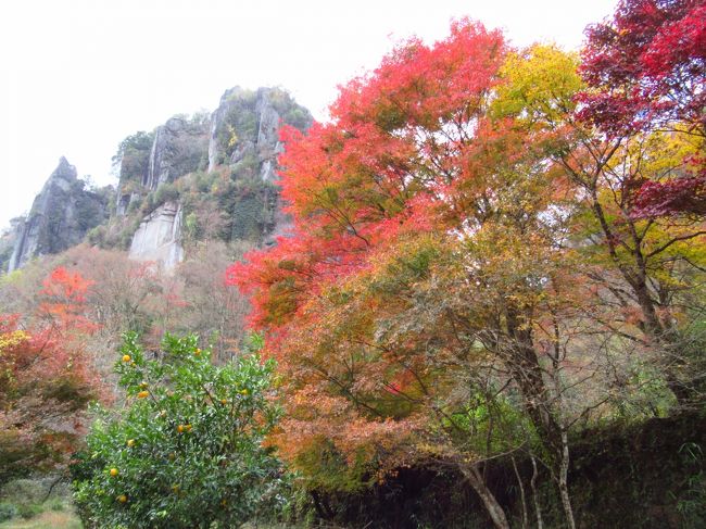 紅葉の九州縦断2泊3日の旅　その３「由布院金鱗湖」「深耶馬渓」「青の洞門」「猿飛千壺峡」