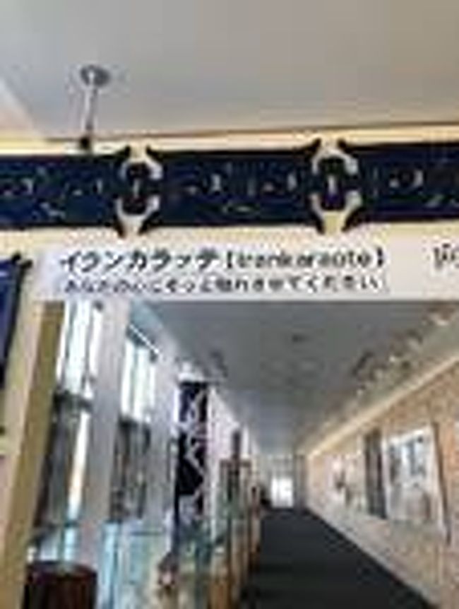 羽田昼発のJalで函館空港(1時間10分)着陸、バスでホテルに向かう、チェックイン後徒歩で駅へ函館駅構内で蟹入り限定ラ‐メンたべ2Fの端にあるアイヌ館へ、アイヌの人々の歴史や刺繍の展示物見て、ホテルに戻り着替え中条きよしさんをお迎えしてのディナ―ショウ、オードブルからボージョレーワインまでお肉料理を沢山食べ19時から中条さんの美声&ト―クも楽しく堪能。その後Taxiで移動しケーブルカーで函館のキラキラ輝く夜景を楽しみ、ヨレヨレの足取りで部屋に戻り、お風呂に入って爆睡。翌朝部屋のカーテン開けると銀世界横殴りの粉雪ゆえ、ホテル内で美味しいパン、玉子料理、牛乳、コーヒー飲んでまったりしたあと予約済みの日帰り温泉宿へ、最近は温泉で身体を温め、末端冷え性の足もポカポカ、その後現地の知人と遅めの寿司三昧ランチ、蟹、あじ、まぐろ等好みをお願いし食べまくり、空港へ離陸まで時間があったのでソフトクリームを食べ、夕方の便で羽田空港から自宅へ、北海道は高校の修学旅行で行っただけで〇〇年ぶり、羽田から近いので次回は陽気の良い季節に再訪したい。