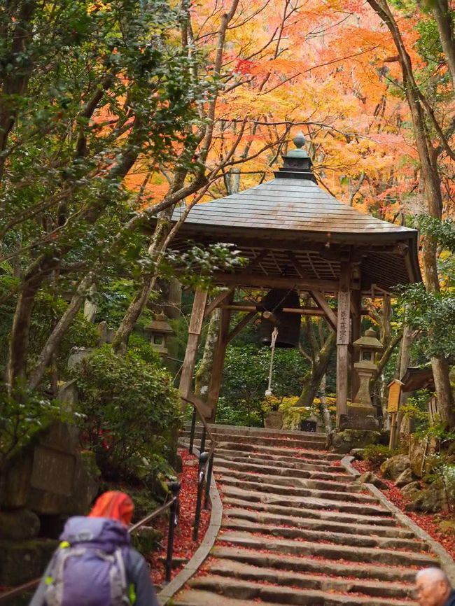 カメラを携えて、広島市内の隠れ家的紅葉の名所、三滝寺へ。<br /><br />一番気に入っていた写真を誤って削除してしまい、残念。<br />