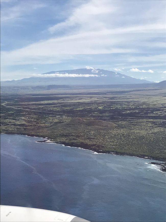 ２年前に３泊５日で初めて行きましたがハワイ島は広く予定通りレンタカーで回れなかったので今回はツアーで５泊７日で再訪しました、またマウナケア山頂サンライズツアーが道路の凍結で途中のオニズカビジターセンターまでしか行けなかったのでサンライズツアーでリベンジしました<br />１日目　　成田からのJAL直行便でコナ空港に到着して送迎バスでカイルアコナのキングカメハメハホテルに１１時頃に到着しました　チェックインは１３時でしたがすぐに入室出来ました　５階の山側ですがラナイの端から少し海が見えます　このホテルにハーツレンタカーが有り予約していたので借り出しました　昼食をビッグアイランドグリルで済ませカイルアコナを散策してヘナタトーを書いて貰いました　<br />２日目　　朝食を８０８グリンドスカフェで済ませ（ここは安くて量もあり美味しいです）火山国立公園に行きました　途中小さなフルーツスタンドやキムララウハラショップに寄りました　遅い昼食をロコモコで有名なカフェ１００のハンバーガーで取りました　ホテルに戻り夕食をコナブリューイングカンパニーに行きピザを食べました　とても美味しかったです<br />３日目　　予約していたコハラのカフアランチで１時間半の乗馬を楽しみました　とてもおとなしい馬たちでトロットや館ターもしました　ガイドの若い女性も親切でした　こちらはナパパステーブルで直接予約すると安いです　その後パーカーランチセンターのビレッジバーガーでハンバーガーを食べました　焼き加減を聞かれミディアムレアでお願いしとてもお肉が美味しかったです　そしてホノアカに寄り　テックスドライブインで評判の四角いプレーンマラサダを食べ素晴らしい景色のワイピオ渓谷に行きました<br />４日目　　ミセスバリーズコナクッキーでお土産のクッキーを買いドナズクッキーでもクッキーを買いました　私的にはドナズのほうが甘みが少なく好きです　次にアカカ滝を見てヒロに行きました　シグゼーンに入りアロハシャツを見ました　生地がしっかりして柄も素敵でしたが安物のスーツ位の価格なので手が出ません　次に行ったスイフトショップで約３ドルのTシャツを５枚買いました　通常売ってないカメハメハスクールの物も入手しました　カメハメハ大王像に挨拶してホテルに戻りコナコーヒーフェスティバルのパレードを見学です　その前に買ったKTAスーパーのポケ丼を夕食にラナイで、ポケは美味しかったですが御飯がロングライスで口に合いませんでした<br />５日目　　午前中にマウララニの洞窟に行きましたが早すぎて光が真上に来ずオーラは見えませんでした　ファーマーズマーッケットを見てBASIK　CAFEでアサイーボールを食べて（前回も食べてリピです　とても美味しい！）　　いよいよ午後からマウナケアサンセットツアーです　天気は良いのですが風が強くてとても寒かったです　サンセット時に雲が少し出てきましたが綺麗でした　天体観測も雲が多くて残念でした　マサシのネイチャースクールのガイドさんは親切丁寧でした　２号車のガイドさんはビッグジンさんでした<br />６日目　　ホテルの前のスプラッシャーグリルで朝食を取り空港迎車に乗りあっという間のビッグアイランドツアーでした