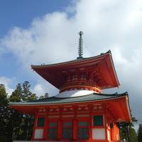 【和歌山】高野山一泊_紅葉の旅