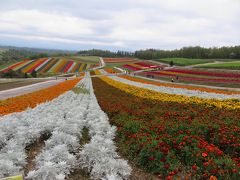 北海道2018-Ⅱ　～自転車で美瑛観光する