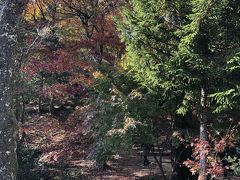 石道寺から鶏足寺