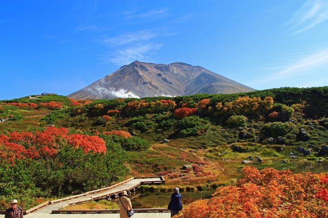 北海道在住３年半で撮りだめた、北海道の四季を紹介しながらの旅行記第４段です。<br /><br />北海道は夏も短いですが秋もまた短いです。紅葉のシーズンを秋とするならば、8月後半から始まり10月の半ばには終了してしまい、後は長い冬を待つばかりとなります。<br />しかし、そんな中でも自然は急速に色づき、四季折々の美しい顔を見せてくれます。<br />今回は主に9～10月の道東・道北を中心とした秋の風景を見に行くとしましょう。<br />