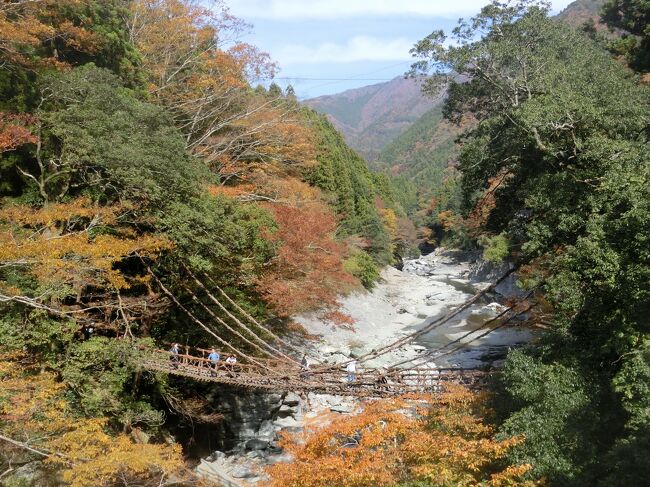 最終日は前から行ってみたかった大歩危・祖谷へ、四国交通が運行する定期観光バスで巡ってきました。<br /><br />《定期観光バスのスケジュール》<br />10:30 阿波池田バスターミナル発<br />10:40 JR阿波池田駅発<br />11:25~11:50 平家屋敷<br />12:05~12:50 郷土料理の昼食<br />13:00~13:30 祖谷のかずら橋<br />13:50~14:00 小便小僧/祖谷渓谷(下車観光)<br />14:35~15:05 道の駅大歩危<br />15:05~16:00 大歩危峡観光遊覧船<br />16:35着予定 JR阿波池田駅<br />16:40着予定 阿波池田バスターミナル