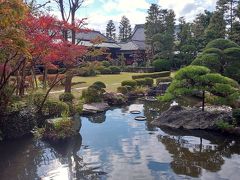 東京巡り～水元公園・しばり地蔵・柴又帝釈天・神田明神～