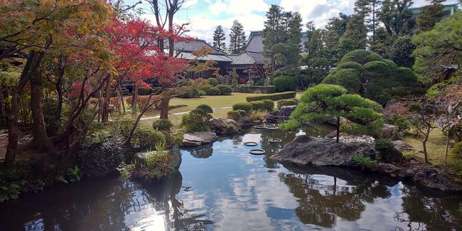 紅葉の水元公園が綺麗という噂を聞いて、母と行ってみましたが、少し早かったか…(笑)<br /><br />悔しいので、しばり地蔵、柴又帝釈天、神田明神と御朱印巡りに(笑)<br /><br /><br />なんと、柴又帝釈天で庚申大祭をしていました！！<br />しかも納庚申大祭とのことで、年に一回とのこと！！凄いラッキー！！