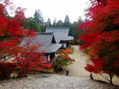 秋の嵐山・嵯峨野・高尾、紅葉を求めて