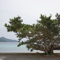 奄美大島ぐるり旅（その２）～島から島へ、心に残る風景を求めて～