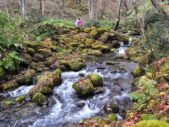 奥大山の木谷沢渓流は必見の価値あり！