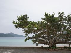 奄美大島ぐるり旅（その２）～島から島へ、心に残る風景を求めて～