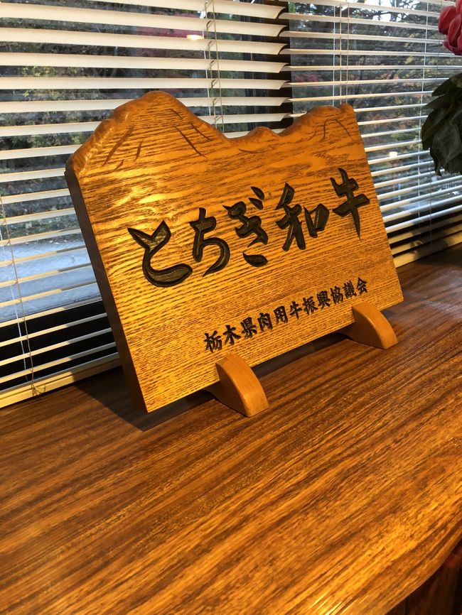 ここ数年、秋の日光にいっていなかったので、久しぶりにスペーシアに乗って行ってきました。従前は往路に「特急きりふり」を利用していましたが、今回は往復共100系を利用しました。