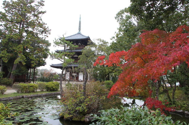 久しぶりの奈良・京都　④　～興福寺国宝館と斑鳩の里