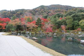 久しぶりの奈良・京都　⑤　～京都・嵐山と東寺