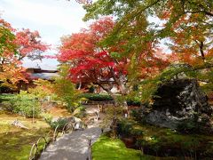 紅葉の大本山天龍寺塔頭　宝厳院