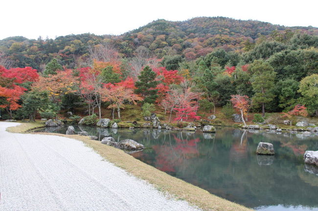 久しぶりに、奈良と京都へ出かけてきました。<br />紅葉の時期の京都へは、約１０年ぶりの訪問です。<br />また、奈良へも約１０年ぶりの訪問となりました。<br />今回は、奈良の新大宮駅前のホテルに４泊して、奈良・京都を回ってきました。<br /><br />初日は、朝７時の新幹線で京都に向かい、紅葉の東福寺と東山界隈を見学しました。<br />２日目は、奈良の飛鳥路をレンタサイクルで巡り、その後西ノ京で薬師寺と唐招提寺を拝観です。<br />３日目は、午前中は定期観光バスで、京都山城地域のお寺を回ったあと、奈良公園を興福寺から春日大社まで歩いて観光しました。<br />４日目は、残念ながら雨となったため、午前中は奈良公園の国宝館と仏像館を見学し、その後斑鳩の里を観光しました。<br />５日目（最終日）は、京都の嵯峨嵐山と東寺を観光し、夕方の新幹線で帰京しました。<br />