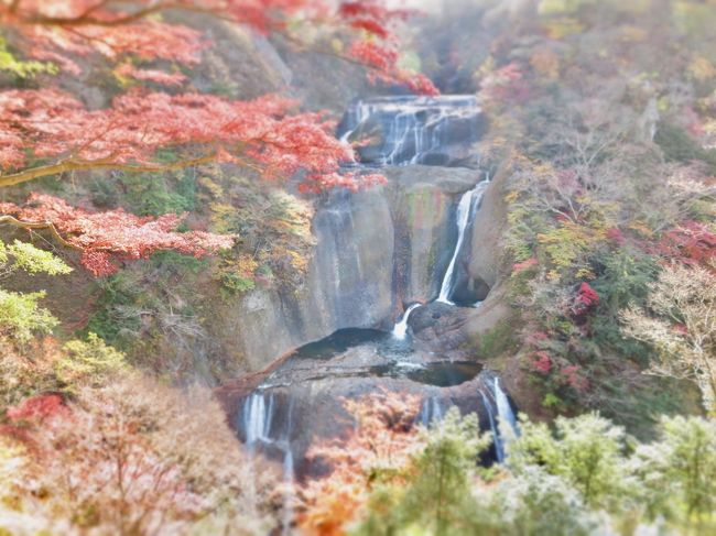 紅葉の季節になり家族を誘い久しぶりに袋田の滝に向かいました。滝に興味のない家族はただ付いて回るだけでしたが、滝を見終わり帰りがけに見つけた、「自然研究路」の看板が示す階段を上り始めると、嫁と娘はヤル気スイッチが入り月居山のハイキングを開始。家族は滝よりハイキングで充実した日となったようです。<br />月待の滝では公共のLIVEカメラを使って変わった自撮りもしてきました。