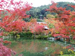 京都紅葉巡り2018 １日目