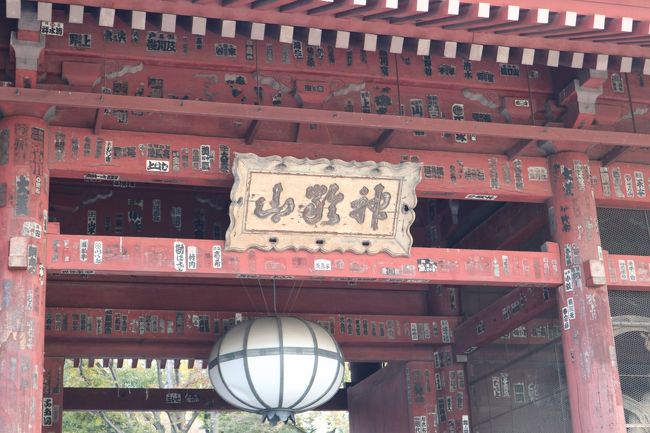 紅葉のきれいな季節到来。<br />今日は、池袋コミュニティ・カレッジ主催の<br />「重要文化財「月光殿」特別拝観 & 護国寺を巡る歴史散策」<br />に参加してきました。<br />護国寺駅は20年ぶりに降りましたがずいぶん<br />変わっていますね。<br />護国寺内を散策するのははじめて。<br />講師の小林祐一先生のお話を聞きながらの<br />護国寺歴史散策は1時間では短すぎるほど<br />あっという間でした。<br />先生も言われていましたがちゃんと案内するには<br />3時間はかかるとのことでした。<br /><br />