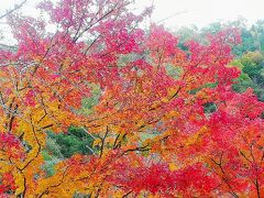 豪渓と井山宝福寺の紅葉を見に