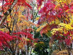 もう一度耶馬渓の紅葉　2018