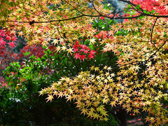 2018　紅葉を愛でながら博物館明治村散策 