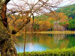 山海の珍味と温泉を巡る旅三日目七不思議の湯　白根館、四尾連湖とみたまの湯