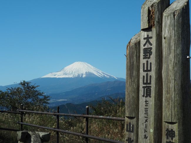 週末の晴れ。近場で軽めの山に登りたい。という事で選んだのは大野山。空気が澄んできた時期なのですでに冠雪した富士山もきれいに見えるだろうという思惑です。小田急線の新宿駅発5時45分発の急行に乗るも、本厚木の先で人身事故。予定よりも遅れて新松田駅着。御殿場線に乗り換え、山北駅から登り始めました。10時半過ぎには山頂に到着。富士山の絶景を堪能し、谷峨駅へ。ススキと富士山の絶景を見ながら楽しく下山。御殿場線は13時台がないので焦りましたが何とか間に合い松田駅で下車。おいしいピッツァとパスタを頂きました。心地のいい天気、富士の絶景、おいいしランチという事なしの楽しい日帰りハイキングでした。