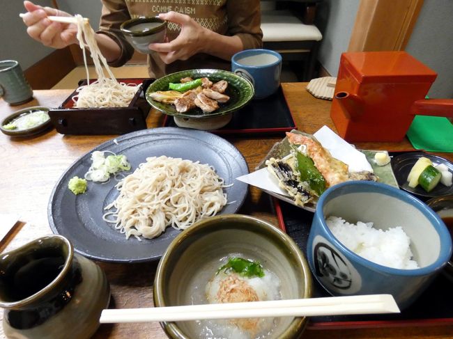 今年の畑は随分暦が進むのが早く、夏野菜はほぼ全て終わってしまい、早くも秋・冬野菜の季節です。<br /><br />そこで、いつもの竹沢園芸種苗で、苗と種を買って、三島市佐野体験農園に向かいます。<br /><br />