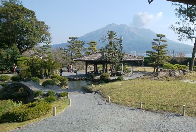 自分が年取ったなーなんて思う時は、大体親はもっと年を取っている。<br />数年前まではお母さんを連れて沖縄へ行って、のんびりリゾート感を満喫してたりもしたもんだが、足が弱ってくると移動もしんどくなるし食べ物もたくさん食べられなくなって、前のように温泉旅館で一泊~とか気軽に言えなくなってしまった。<br /><br />70過ぎ、極端に食が細くて、足が弱くて、温泉ものぼせるので長時間は入れない。<br /><br />…どこ行けばいいんだか…。<br /><br />と思った時、俺氏に「船旅も良いんじゃないの?」という言葉にピンときた。<br />そうだ!船で鹿児島に行けば、お母さんがずっとやりたがってた砂蒸し風呂に行ける!と。<br />飛行機はお母さんあまり好きではないけれど、今はさんふらわあが就航していて、南港から志布志まで寝ていけるよ!<br />しかも新造船したばっかりの、あったらしい船じゃないか!<br /><br />で、早速予定を立ててみた。<br />11/18 夕方にさんふらわあで志布志(鹿児島)へ、到着は翌朝9時。<br />鹿児島中央駅まで無料送迎バスがあるので、そこからレンタカーを借りて指宿に夕方に到着。<br />11/20 桜島見て、仙巌園見て、もし行けたら霧島行って、また夕方フェリーに乗って、11/21朝に南港着。<br />…素晴らしい予定じゃないか!!!<br /><br />喜び勇んで全部予約して、さぁ後は夜勤を2回やったら旅行だね~。<br /><br />と思ったら、5日前にまさかのさんふらわあ復路の欠航!<br />ムリなもんは仕方ないので頑張って帰りの飛行機を確保して、この加減から宿泊地も変更になってしまい、慌ててホテルも取り直してバタバタになってしまった。<br />まぁ新造船だから仕方がない、うん。<br />車で言う所のリコールみたいなもんだ。<br /><br />と思ったら、2日前に「船の出港時間が遅くなって、到着も昼になります」とか電話が入って、いやー申し訳ないが本当いい加減にしてくれませんかみたいなね。<br />でもこれも機械の事だから仕方ないやって思ってたんですけどね、今度は念のため値段確認したら5000円くらいアップしてて、「往復割引がないので値上がりになります」とか言われてね。<br /><br />さすがに揉めた(笑)。<br /><br />結局往復割引適用運賃になったので、まぁこれ以上は…と思って収めたけれど。<br />とりあえず不満に思う事、納得が行かないことは突き詰めるのが一番かと思いますよ、はい。<br /><br /><br />さて、今回の旅程とお値段です。<br />2018/11/18(日)17:00南港→志布志 さんふらわあきりしまのデラックス 40600円<br />志布志→さんふらわあライナー(無料送迎バス)で鹿児島中央駅へ移動。<br />オリックスレンタカーで8000円くらい、一路指宿へ。<br />宿泊は 指宿温泉 吟松(ぎんしょう)1泊朝食付きで19200円<br />夕食は郷土料理さつま味 4900円<br />翌日チェックアウト後に、ヘルシーランドで砂蒸し風呂2260円<br />後はレンタカーで北上し、仙巌園と桜島行ったら、レンタカー返却し、鹿児島空港へ行って21:05発の関空行きに乗って、到着したら俺氏のお出迎えがあって終了です。<br />合計90000円くらいなので、1人だと45000円なのでまぁまぁかと。<br /><br />始まる前はいろいろあってバタバタしたけれど、結果は楽しかったし、楽しんでもらえたし、最高の旅でした。