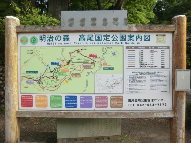 月例登山報告 高尾山 その1 東京のオアシス 高尾山 に登ろう 高尾 八王子 東京 の旅行記 ブログ By オーヤシクタンさん フォートラベル