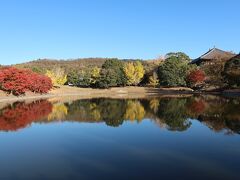 2018/11/24奈良公園紅葉狩り